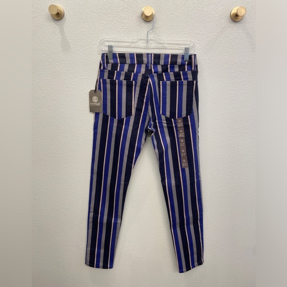 NWT - Element Eden Striped Denim Navy Black Grey Skinny Jeans Size 27 - Picture 4 of 11